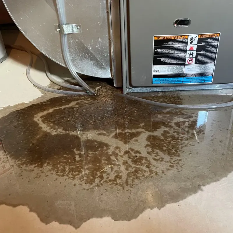 Pipe Burst and Leak Restoration in New Castle, KY