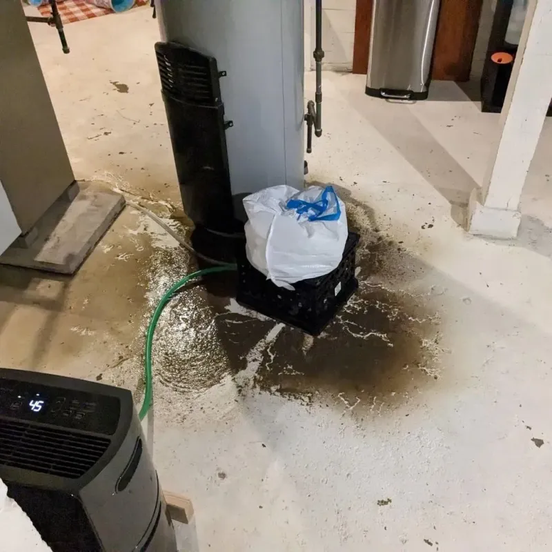 Sewage Backup Cleanup Service in New Castle, KY